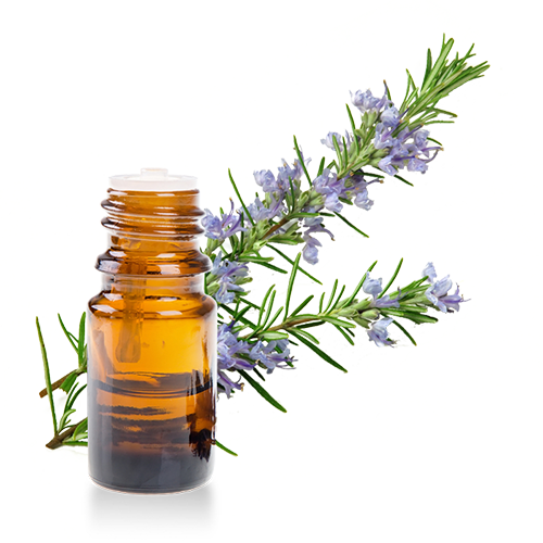 زيت إكليل الجبل