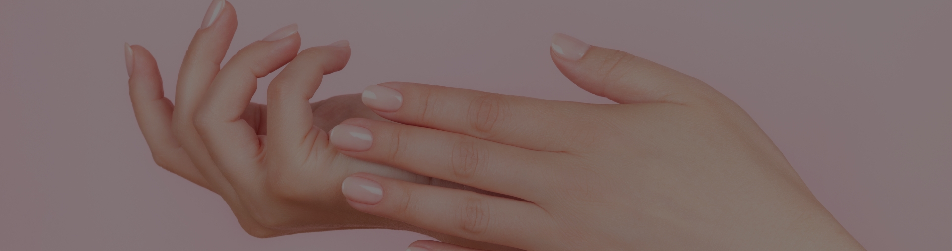 DISCOVER OUR RANGE OF PRODUCTS