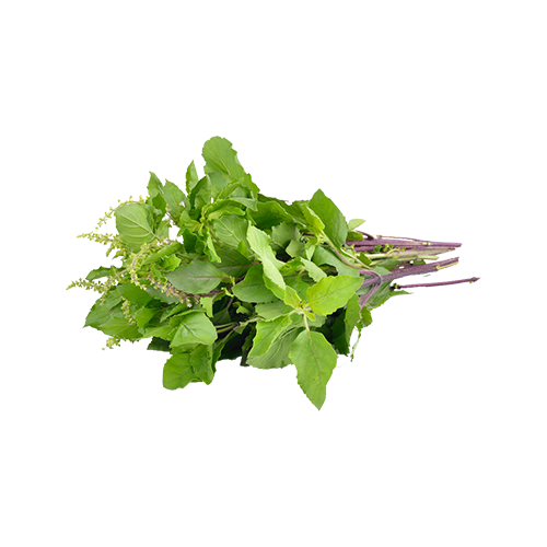 Tulsi