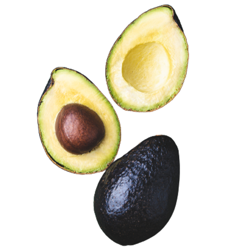 Avocado