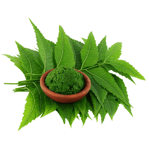 Neem