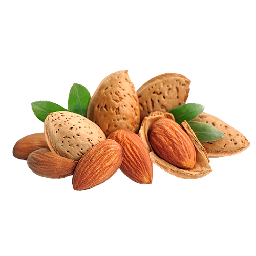 Almond