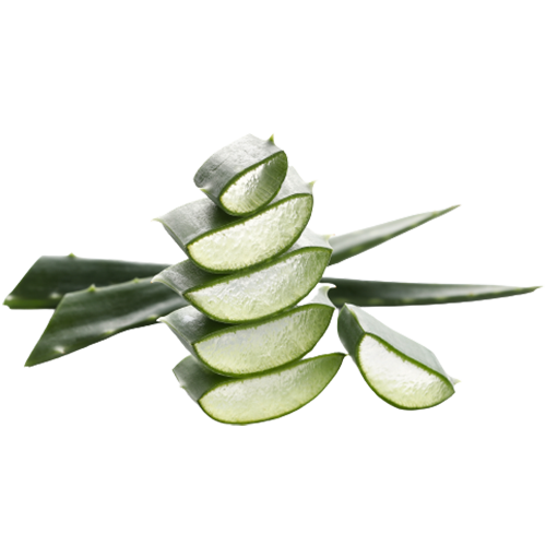Aloe