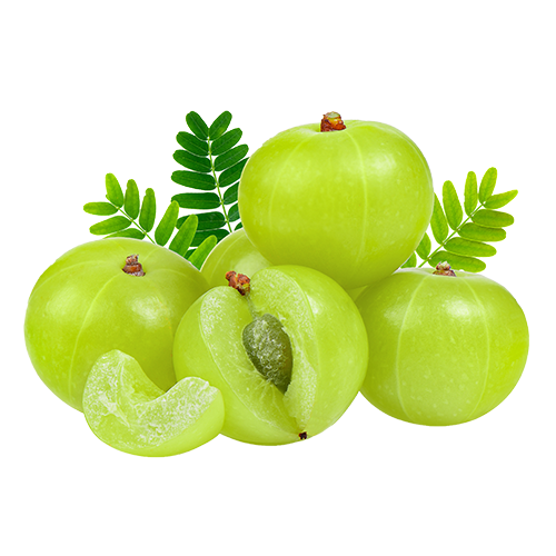 Amla (Indian Gooseberry)