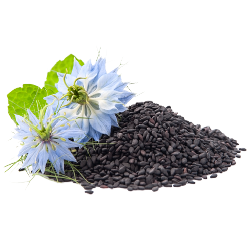 Blackseed