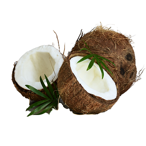 Coconut