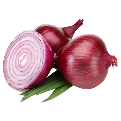 Onion