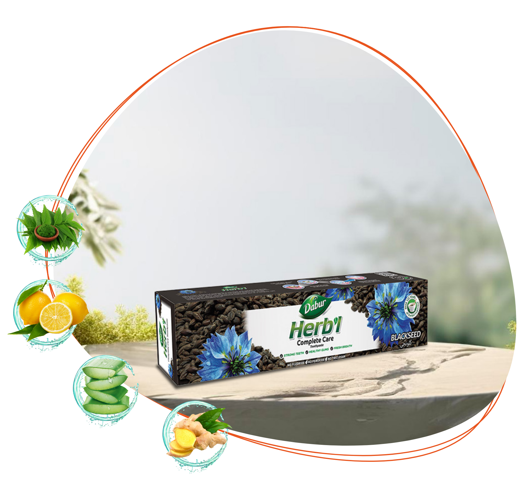 DABUR HERBAL VALUES