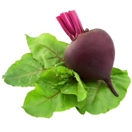 شَمَنْدَر أَحْمَر