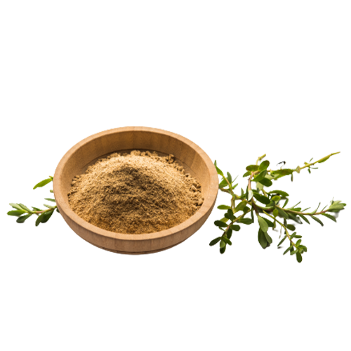 براهمي باودر