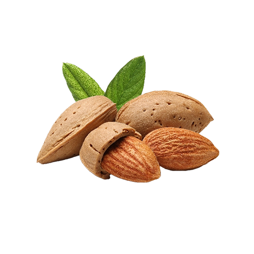 Sweet Almond