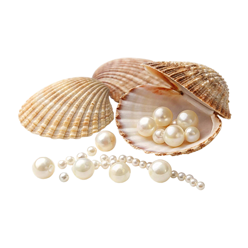 Pearl Extract