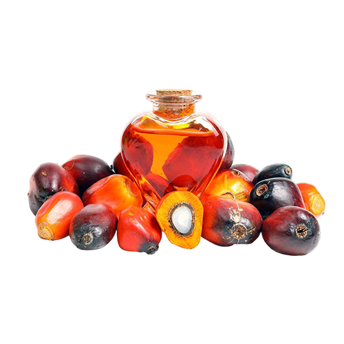 Batana Oil