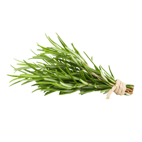 Rosemary